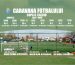 caravana-web2
